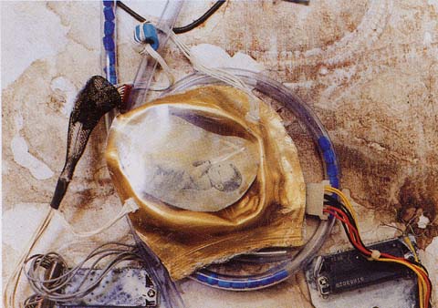 Untitled-15 copy14.jpg